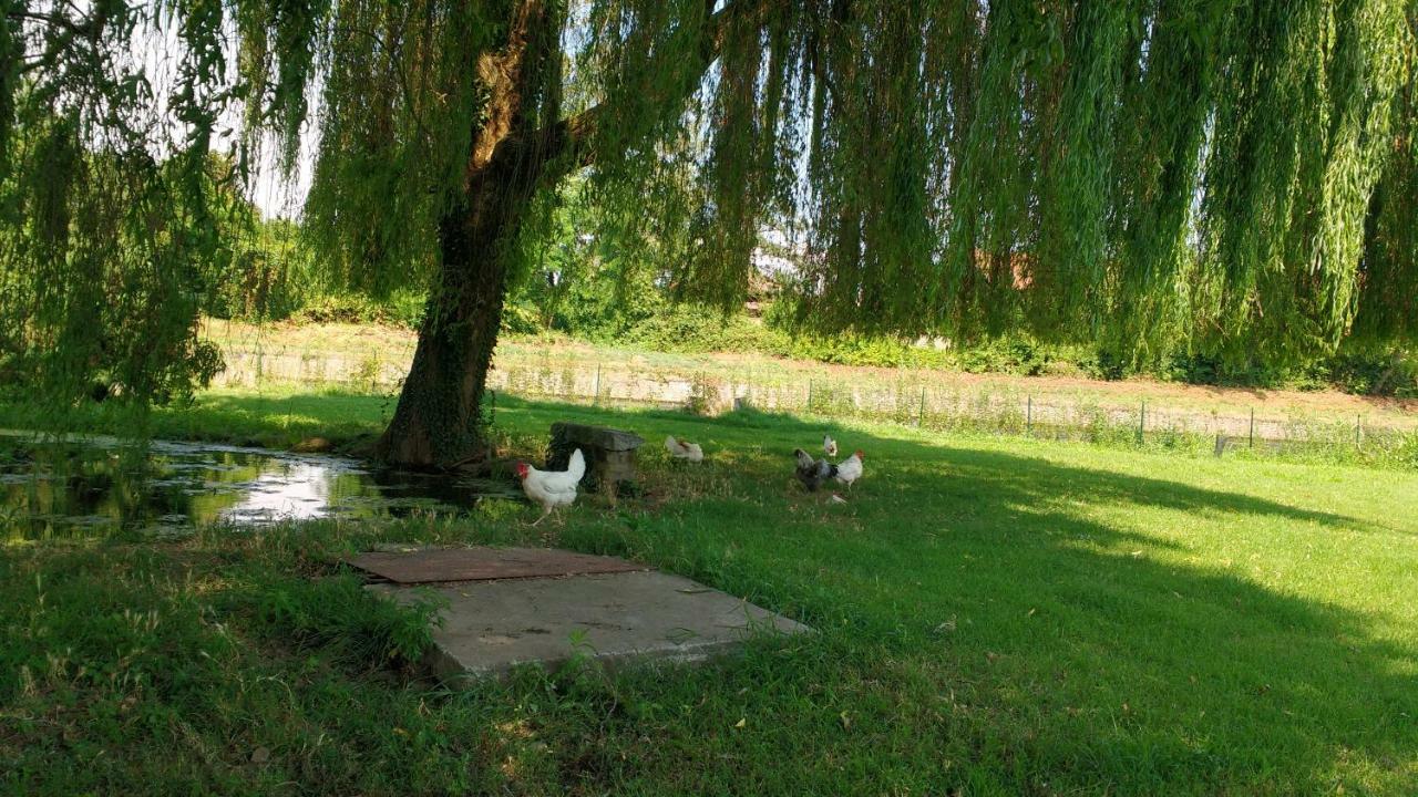 Agriturismo Cascina Poscallone Abbiategrasso Exteriör bild